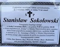 Gołębie zdjęcie