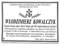 Gołębie zdjęcie
